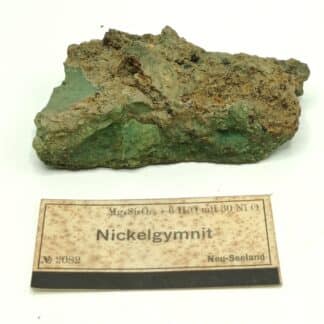 Nickelgymnit (Antigorite, Garniérite), Neu-Seeland (Nouvelle-Zélande).