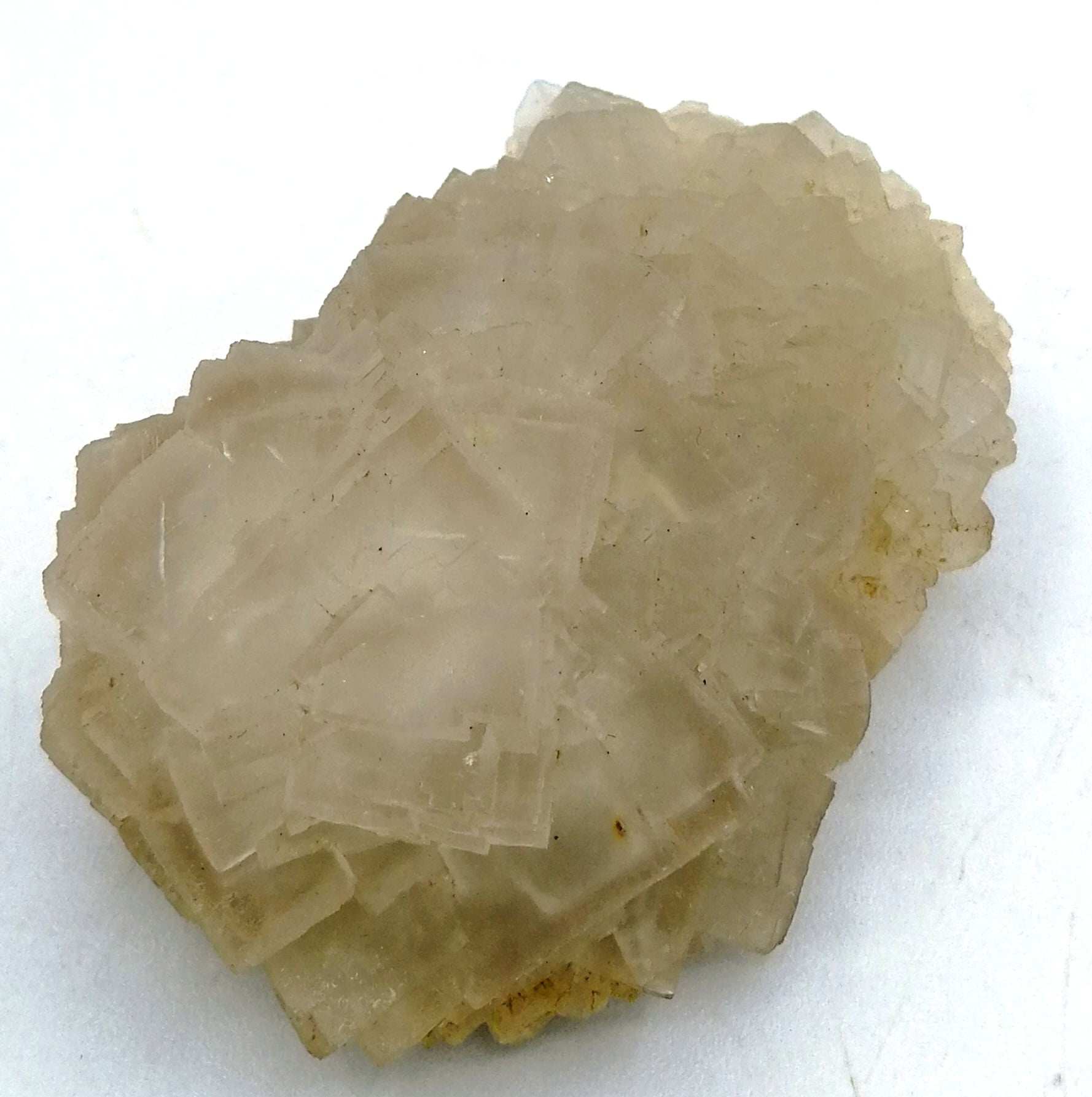 Fluorine (Fluorite), Mine de Fontsante, Massif du Tanneron, Var.