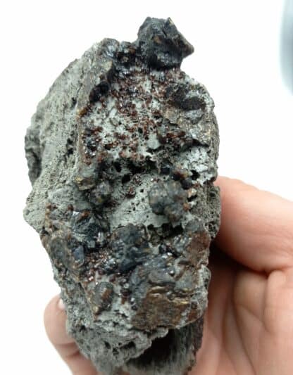 Sphalérite (Blende), Mine de Beauraing, Belgique.