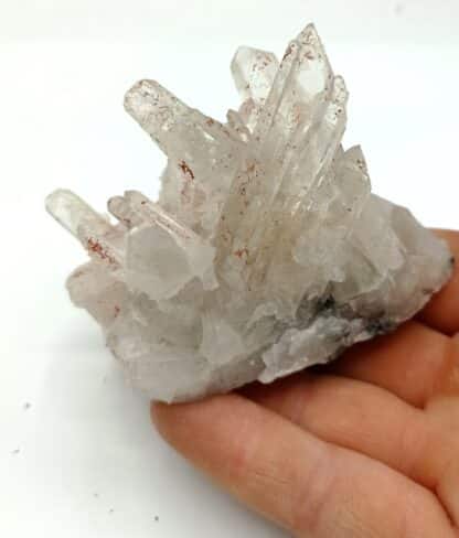 Quartz, Carrière de Bierghes, Belgique.