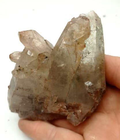 Quartz, Carrière de Bierghes, Belgique.