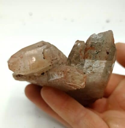 Quartz, Carrière de Bierghes, Belgique.