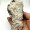 Galène et Sphalérite (Blende), Mine de Beauraing, Belgique.