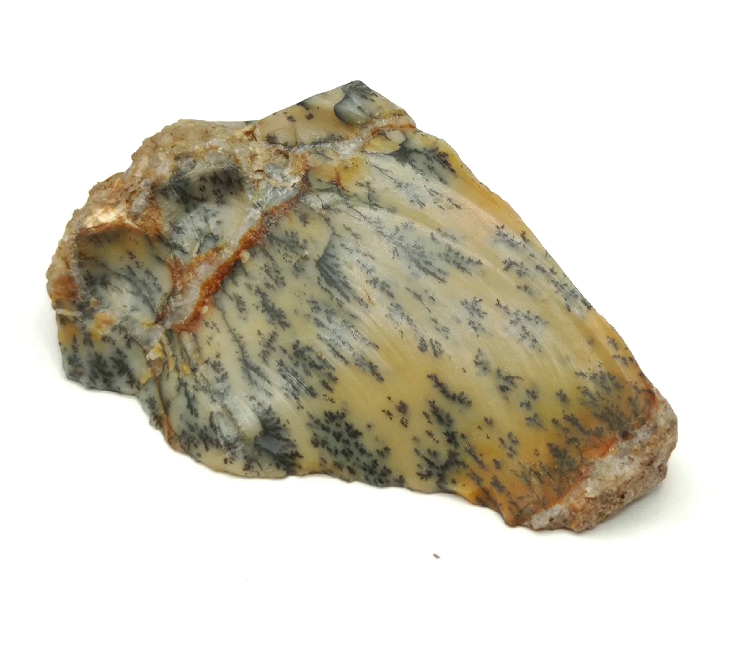 Dendritenopal (Opale), Brésil.