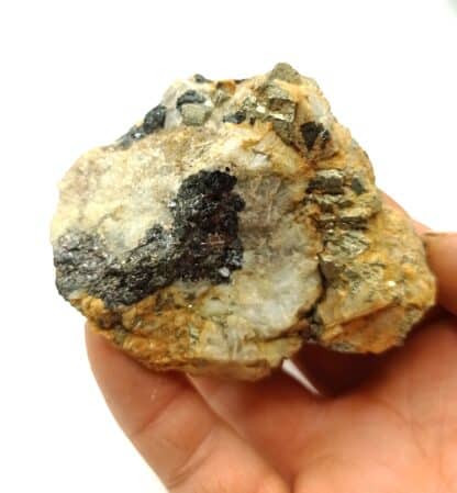Pyrite et Sphalérite (blende), Campiglio Marittima, Toscane, Italie. – Image 5