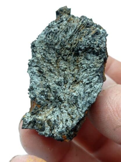 Limonite, Mine des Lanzi, Toscane, Italie.