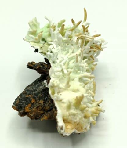 Aragonite cuprifère, Fertrupt, Sainte-Marie-aux-Mines, Alsace.