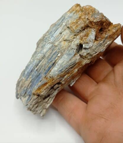 Disthène (Kyanite), Baud, Morbihan, Bretagne.