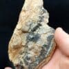 Wolframite, Les Montmins, Echassières, Allier.