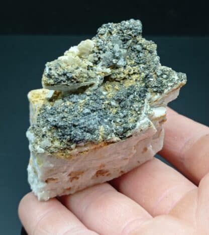 Blende (Sphalérite) et Pyrite, Marsanges, Haute-Loire, Ex-Fouilhoux.