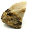 Rutile, La Gagnerie-du-Brignan, Bouvron, Loire-Atlantique.