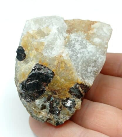 Rutile, La Gagnerie-du-Brignan, Bouvron, Loire-Atlantique.