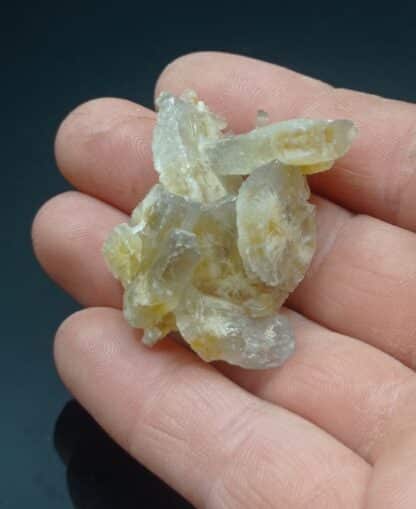 Barytine (Baryte), Marsanges, haute-Loire, Auvergne.