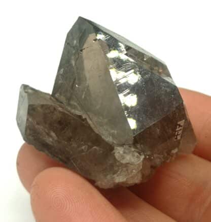 Quartz fumé, Talèfre, Massif du Mont Blanc, Haute-Savoie.