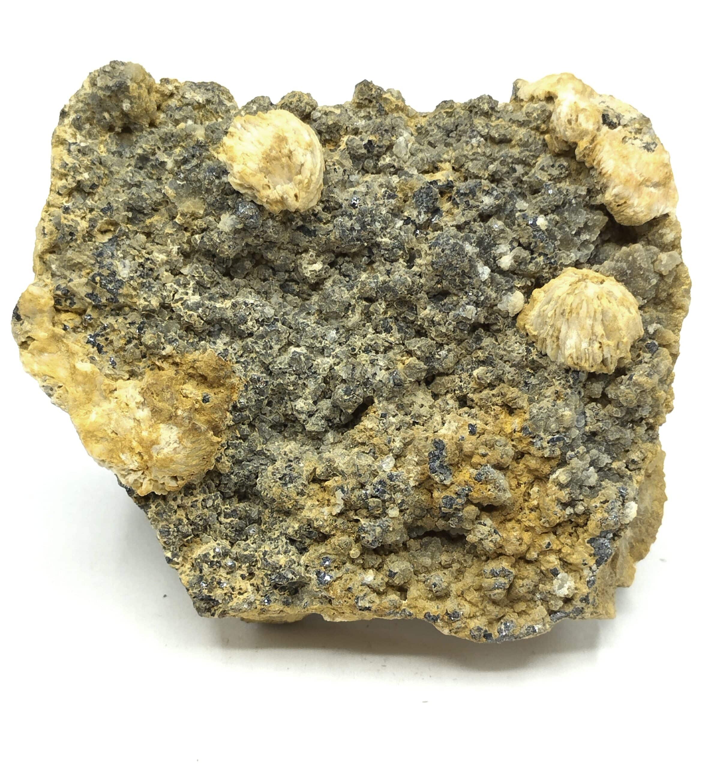 Baryte sur Galène, Neuil, Saint-Pardoux-la-Rivière, Nontron, Dordogne.