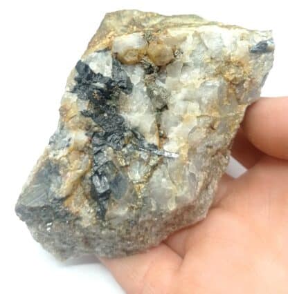 Wolframite et Pyrite, Puy-les-Vignes, Haute-Vienne, Limousin.