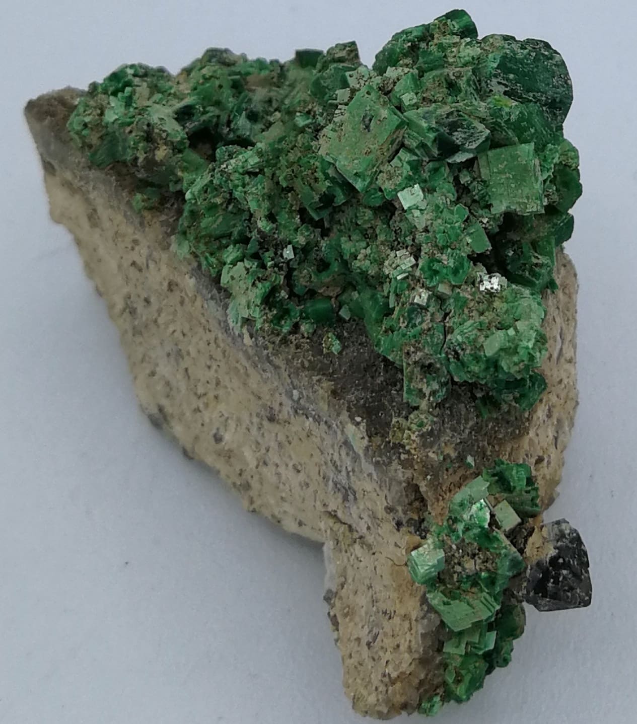 Torbernite, Margabal, (Aveyron).