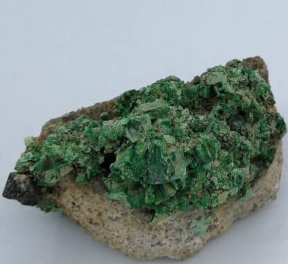 Torbernite, Margabal, (Aveyron).