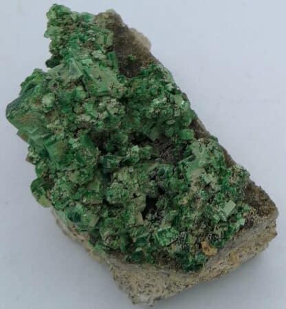 Torbernite, Margabal, (Aveyron).