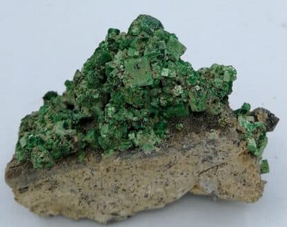 Torbernite, Margabal, (Aveyron).