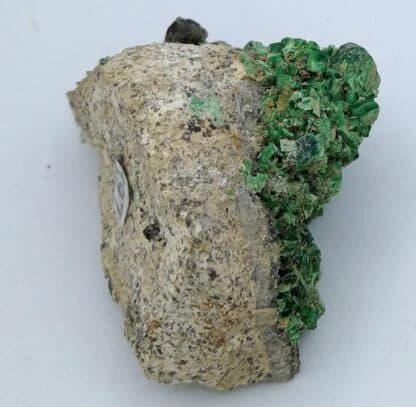 Torbernite, Margabal, (Aveyron).