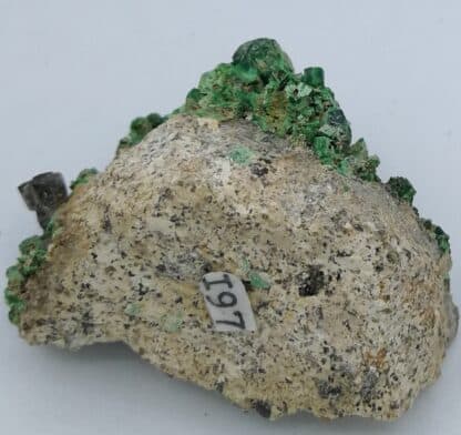 Torbernite, Margabal, (Aveyron).