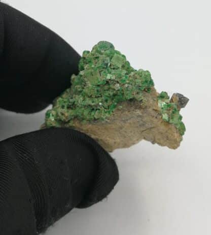 Torbernite, Margabal, (Aveyron).