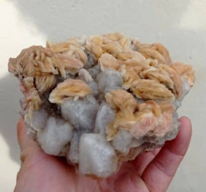 Barytine et Quartz, Rigoux, Brioude, Haute-Loire.