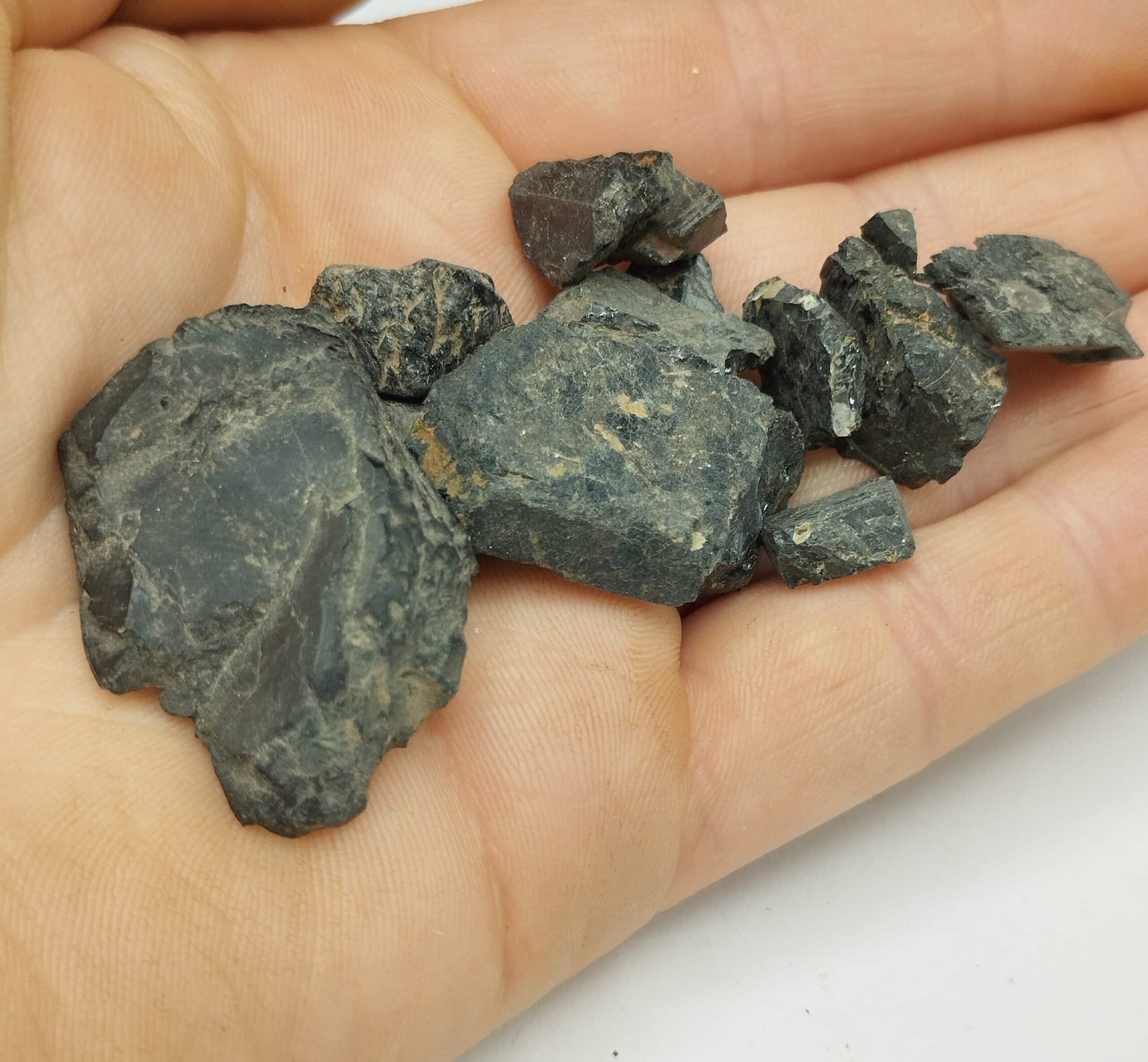 Hornblende (Amphibole), Montpellier, Hérault.