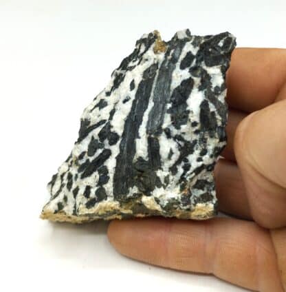 Hornblende, Le Peuch, Corrèze.