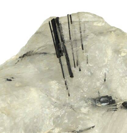 Tourmaline (Schorl) dans Quartz, Chammet, Faux-la-Montagne, Creuse.