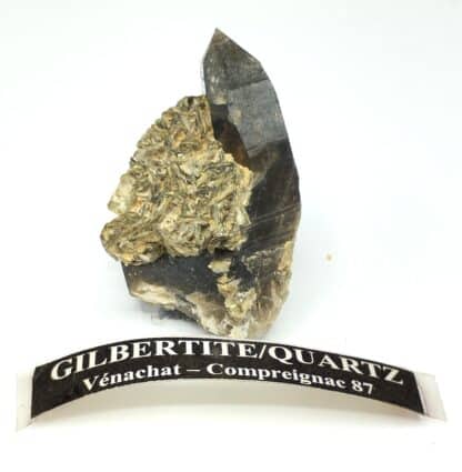 Gilbertite sur Quartz morion, Vénachat, Haute-Vienne, Limousin.