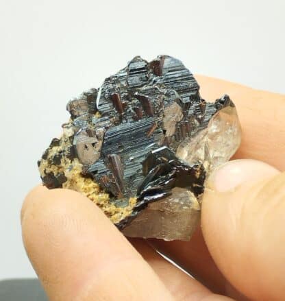 Rutile et Hématite, Val Cavradi, Uri, Suisse.