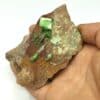 Torbernite, Les Bois-Noirs, Saint-Priest-la-Prugne, Forez, Loire.