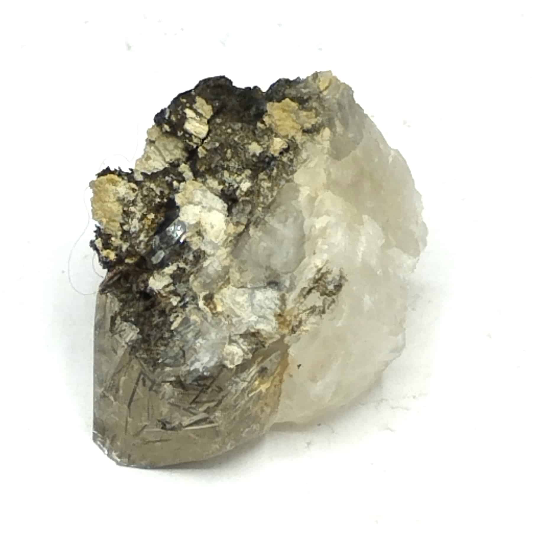Dravite (Tourmaline) et Quartz, Argentine, La Lauzière, Savoie.