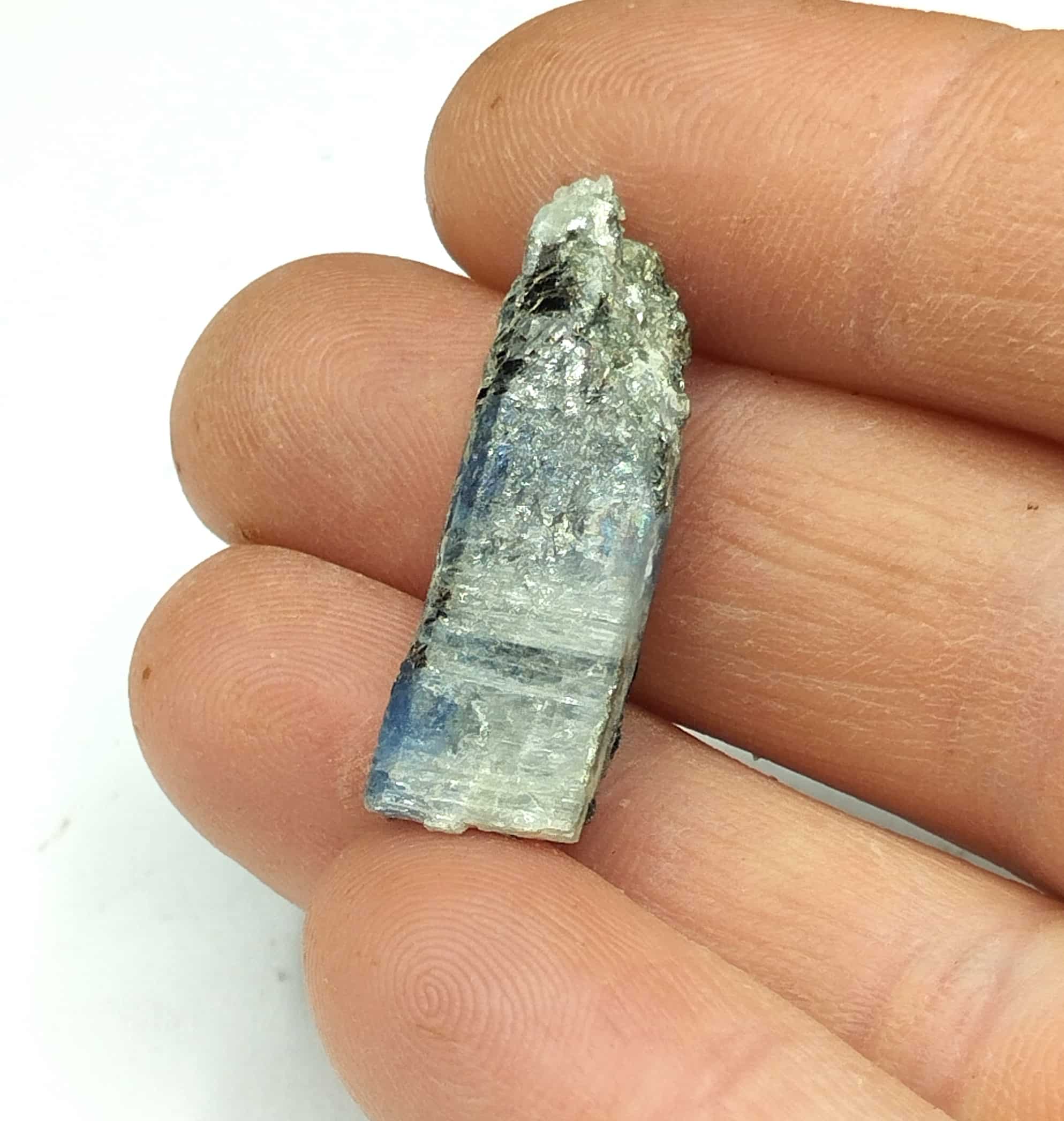 Disthène (Kyanite), La Tour-en-Jarez, Saint-Etienne, Loire.