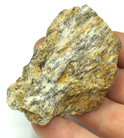 Fibrolite (Sillimanite), Valfleury, Saint-Etienne, Loire. – Image 4