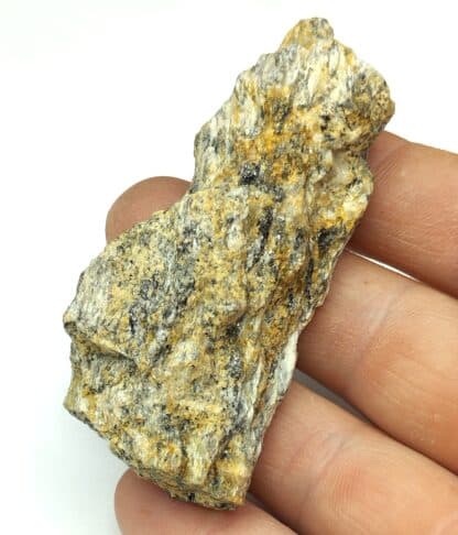 Sillimanite, Valfleury, Saint-Etienne, Loire.