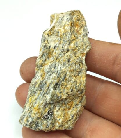 Sillimanite, Valfleury, Saint-Etienne, Loire.