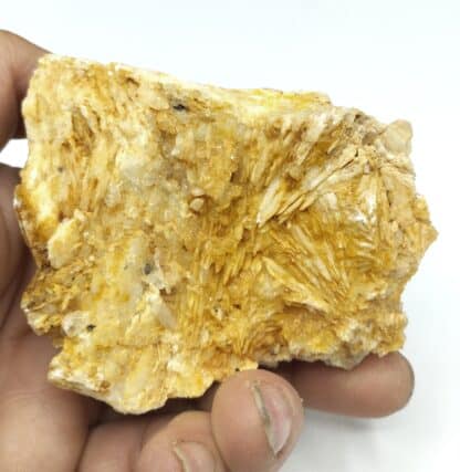 Baryte (Barytine), Meyrignac-de-Bar, Corrèze.