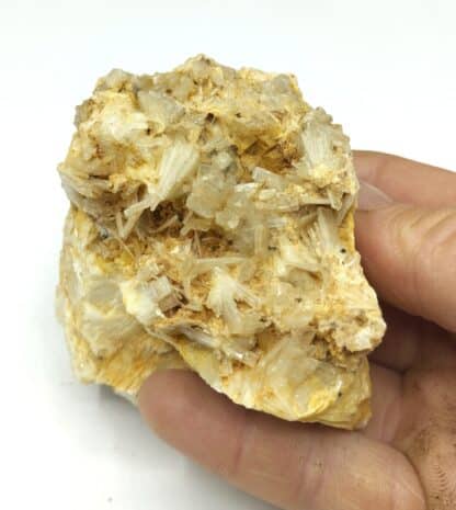 Baryte (Barytine), Meyrignac-de-Bar, Corrèze.