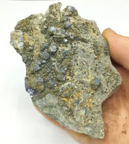 Galène et Pyrite, Rochechouart, Haute-Vienne, Limousin.