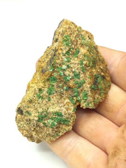 Torbernite, Puy de l’Age, Bellezane, Haute-Vienne, Limousin.