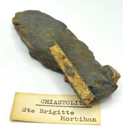 Chiastolite (Andalousite), Sainte-Brigitte, Morbihan, Bretagne.