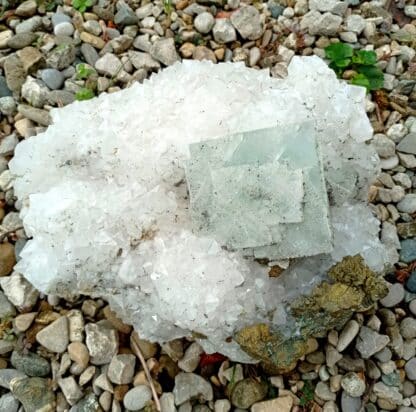 Fluorine, Quartz et Chalcopyrite, Le Burc (Burg), Tarn.