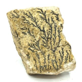 Pyrolusite (Dendrite de manganèse), Loire, Ex. Coll. De Chalendar.