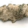 Pyrite, dolomite, Usclas du Bosc, Loiras, Hérault.