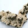 Pyrite sur dolomite, Usclas du Bosc, Loiras, Hérault.