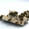 Pyrite sur dolomite, Usclas du Bosc, Loiras, Hérault.