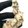 Pyrite sur dolomite, Usclas du Bosc, Loiras, Hérault.